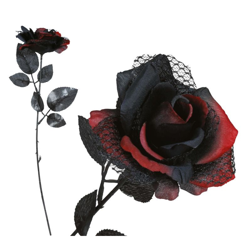 Flor Roja y Negra