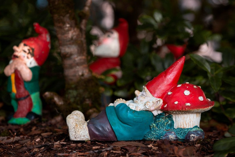 Cómo hacer un disfraz de enanito de Blancanieves: guía fácil y rápida