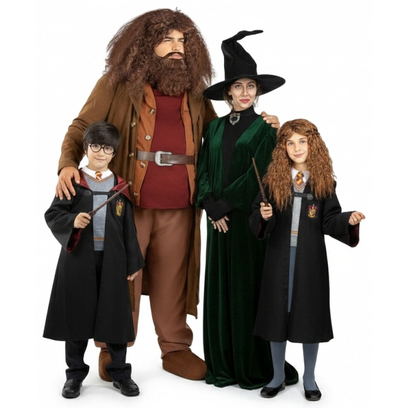 Grupo Hogwarts de Harry Potter