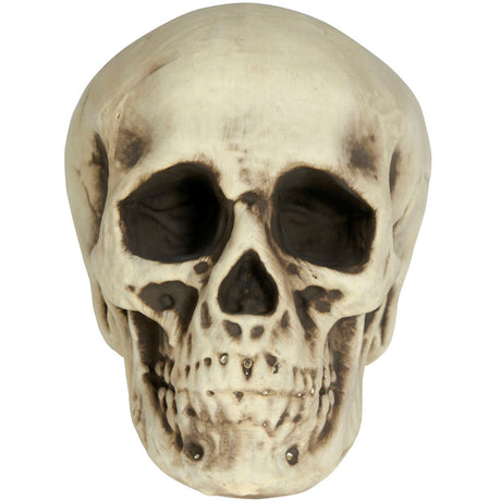 Calavera Foam