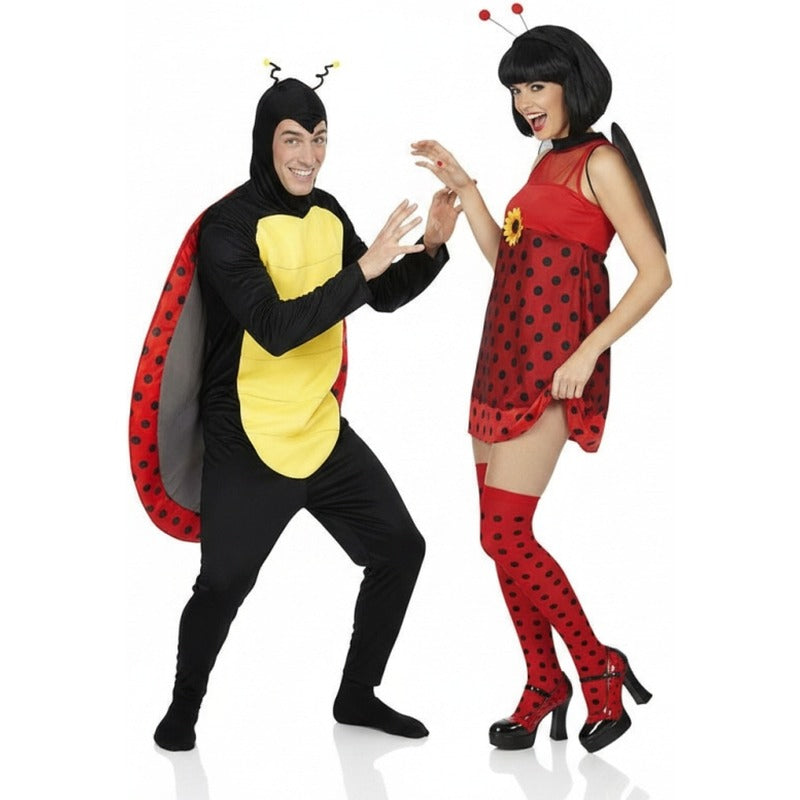 Pareja Insectos Mariquitas
