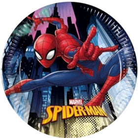 Fiesta de cumpleaños Spiderman