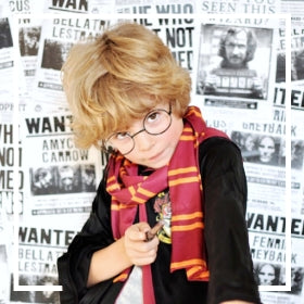 Disfraces de Harry Potter