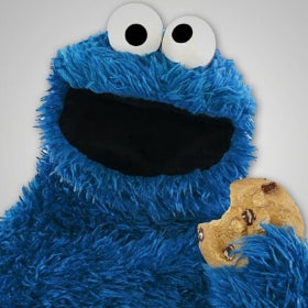 Disfraces de Monstruo de las Galletas en Barrio Sésamo